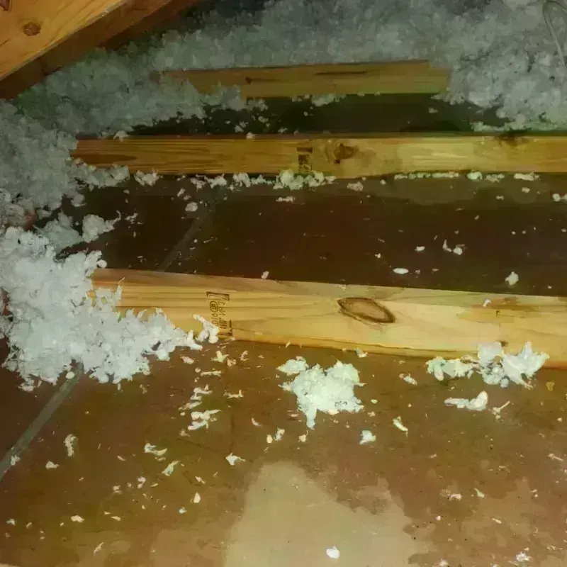 Attic Water Damage in Mountain Top, PA